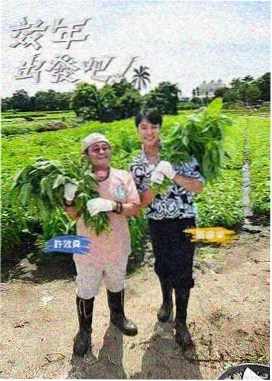 午夜影视2026片单 影视资讯